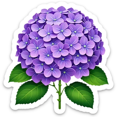 Hydrangea sticker