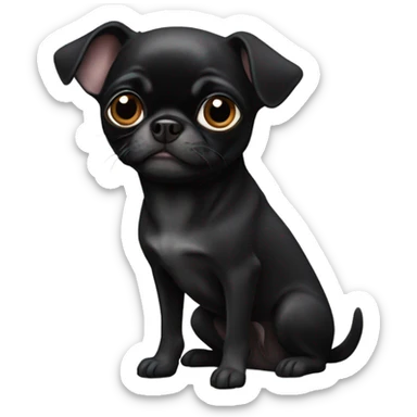 Black chihuahua pug  sticker