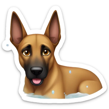 malinois qui prend son bain, sa douche sticker