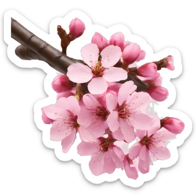 Cherry blossom sticker