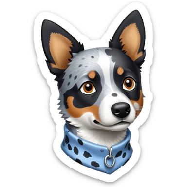 Blue heeler with no red sticker