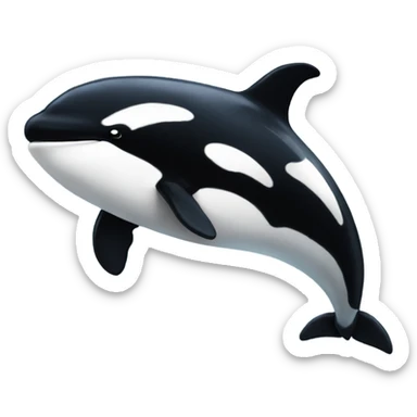 Orca  sticker