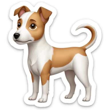 a full body slightly chubby white parson russell terrier looking dog the size of a kelpie with light brown long ears and a light brown patch on one eye and a large snout sticker