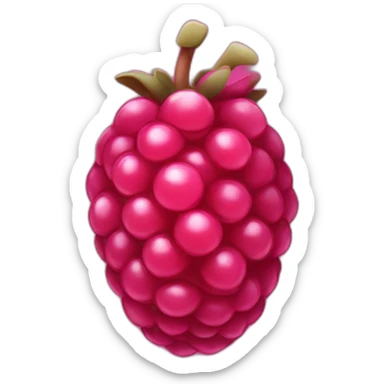 Raspberry Pi 4B sticker