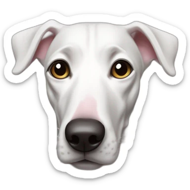Dog galgo allí white anda pink noise sticker
