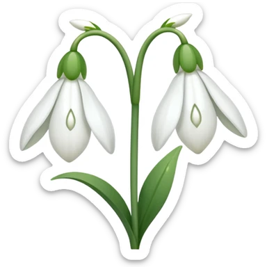 snowdrop flower sticker
