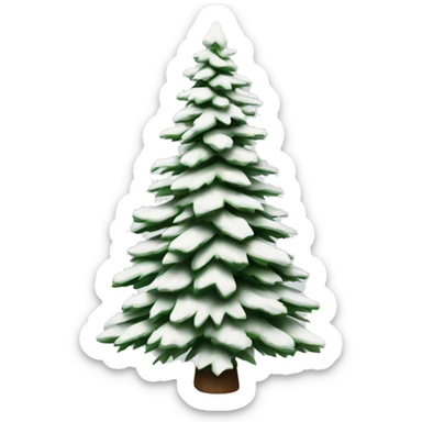  actual white fir christmas tree isolated.  sticker