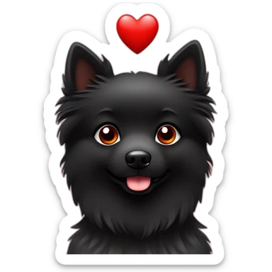 Little black spitz with red heart sticker