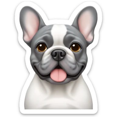 Grey French bulldog with white down the middle of the face sticker
