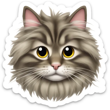 Mainecoon cat curled up super fluffy sticker