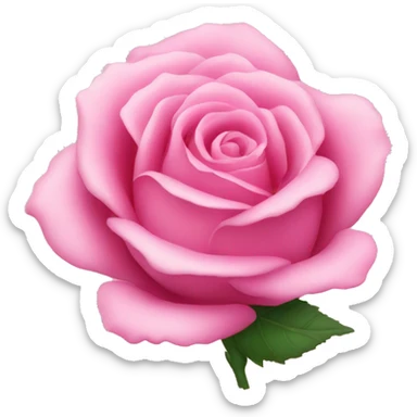 Pink rose  sticker