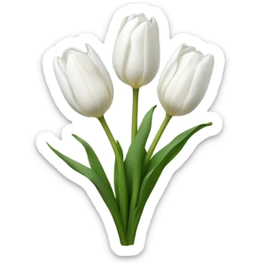 White tulips  sticker