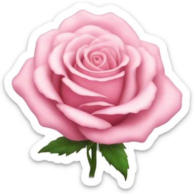Pink rose sticker