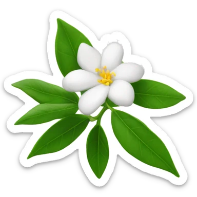 Jasmin flower tunisia  sticker
