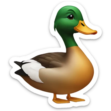 Duck sticker