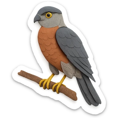 Cooper’s Hawk on a branch, layered paper details, sharp talons, expressive yellow eyes, gray and rufous plumage, naturalistic pose sticker