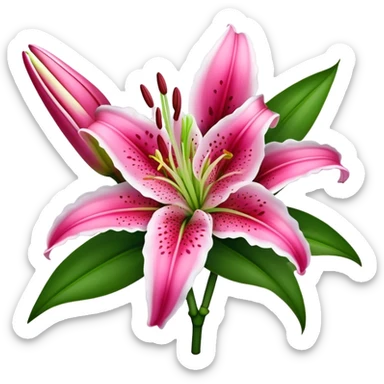 bouquet Deep Pink Oriental Lily with White Edge, luxuriant, leaf, bud sticker