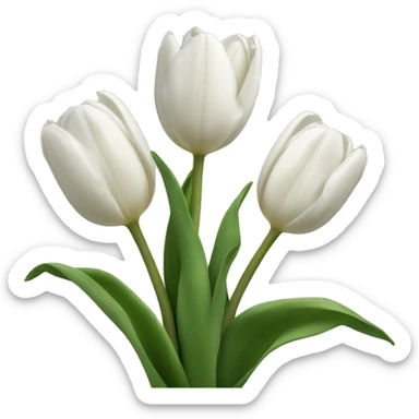 White tulips sticker
