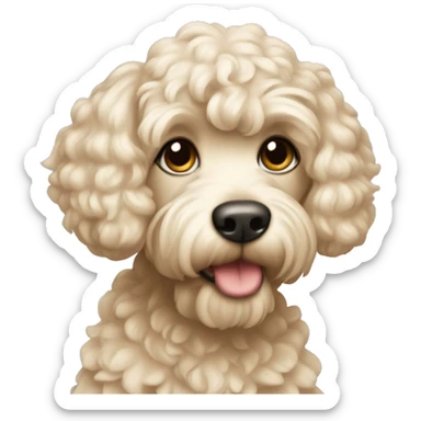 cream cockapoo with short hair sticker