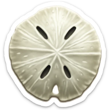Sand dollar sticker