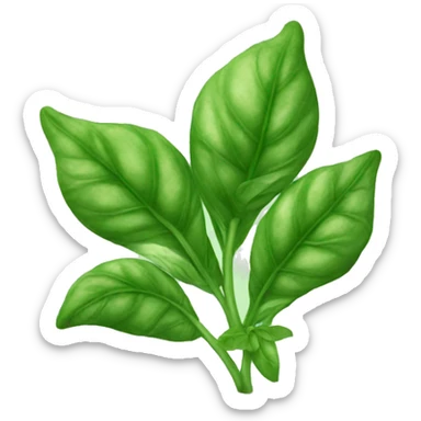 Basil  sticker