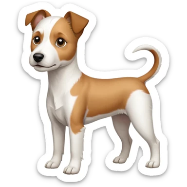 a full body white parson russell looking dog the size of a kelpie with light brown ears and a light brown patch on one eye and a large snout sticker