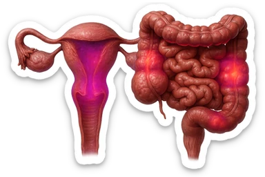 utero umano anatomico iperrealistico e intestino umano anatomico iperrealistico hanno in comune il dolore e l'infiammazione, rendi bene il collegamento tra i due organi doloranti, falla iperrealistica, non disegnata, fai colori che si adattano a questo viola #971ef1 sticker