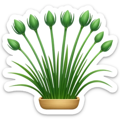 chives  sticker