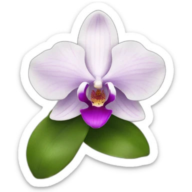 orchid flower sticker