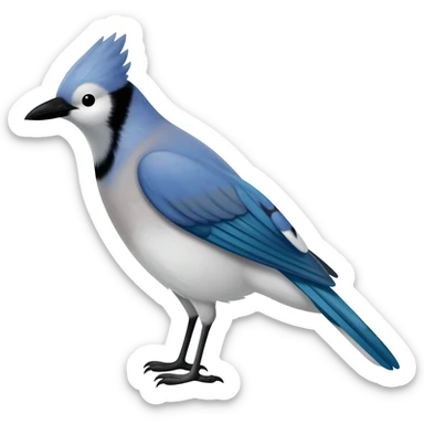 Blue jay sticker