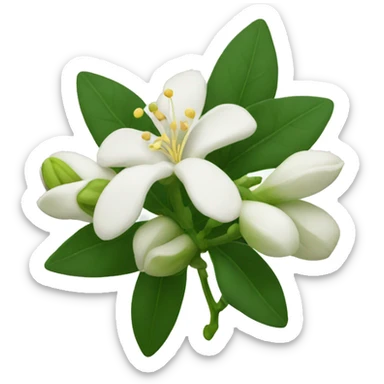 Night Jasmine flower sticker