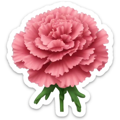 Carnations sticker