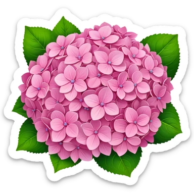 Bouquet of pink hydrangeas  sticker