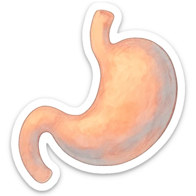 ghibli style stomach with soft colors sticker