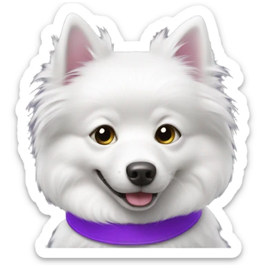 white spitz with purple collar  sticker