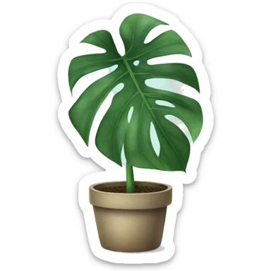 Monstera plant in pot sticker