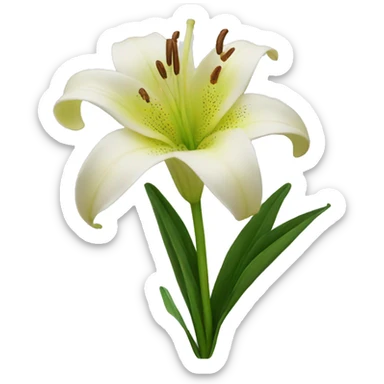 lily sticker