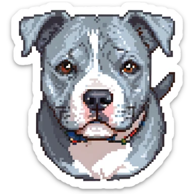round circle puppy head full grey bleu staffy, stupid expression sticker