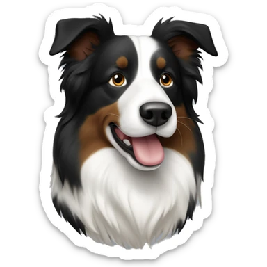 A Berger de Savoie border collie, black, white and brown with half of the face white sticker