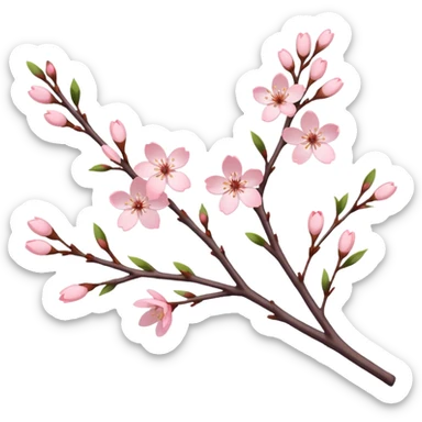 The branches of cherry blossoms are pale pink sticker