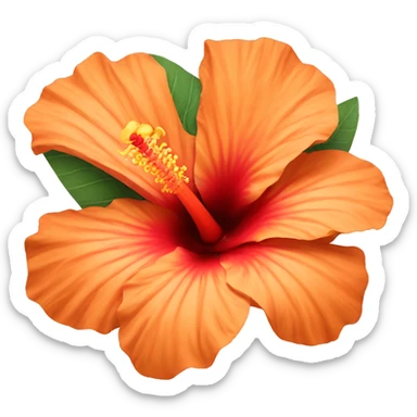 orange hibiscus flower sticker