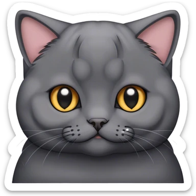 Dark Grey scottish fold cat sticker