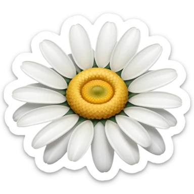 Daisy flower sticker