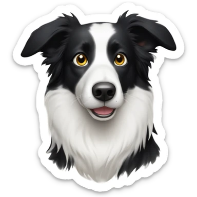 Border collie with half white face and one black spot over eye sticker