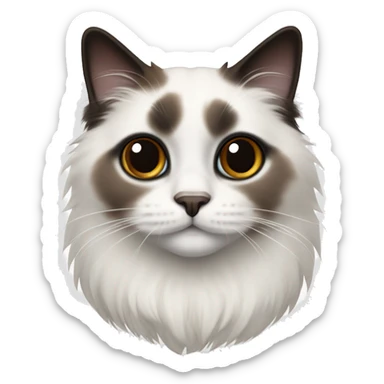 ragdoll cat white with black and brown patches around the nose, ears, feet, and tail sticker