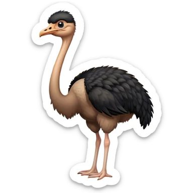 An adult ostrich standing in the desert, with black feathers. beak open. sticker