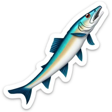 Barracuda sticker