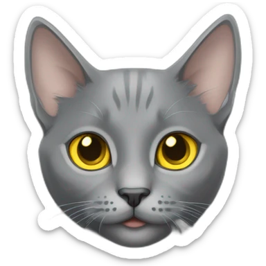 cuddly fluffy grey korat breed cat with yellow eyes black pupils, walking and playing female sticker