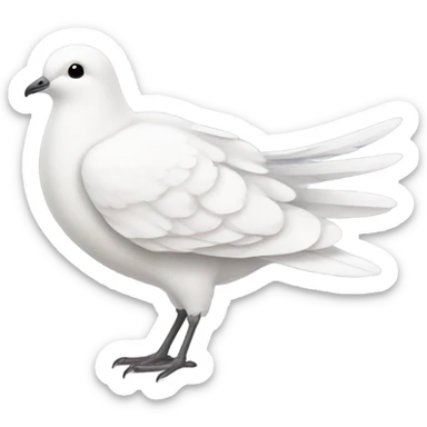 Paloma sticker
