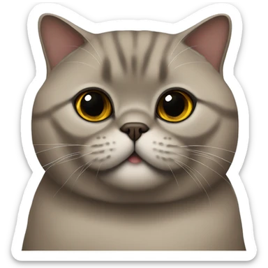 Brown exotic british shorthair sticker